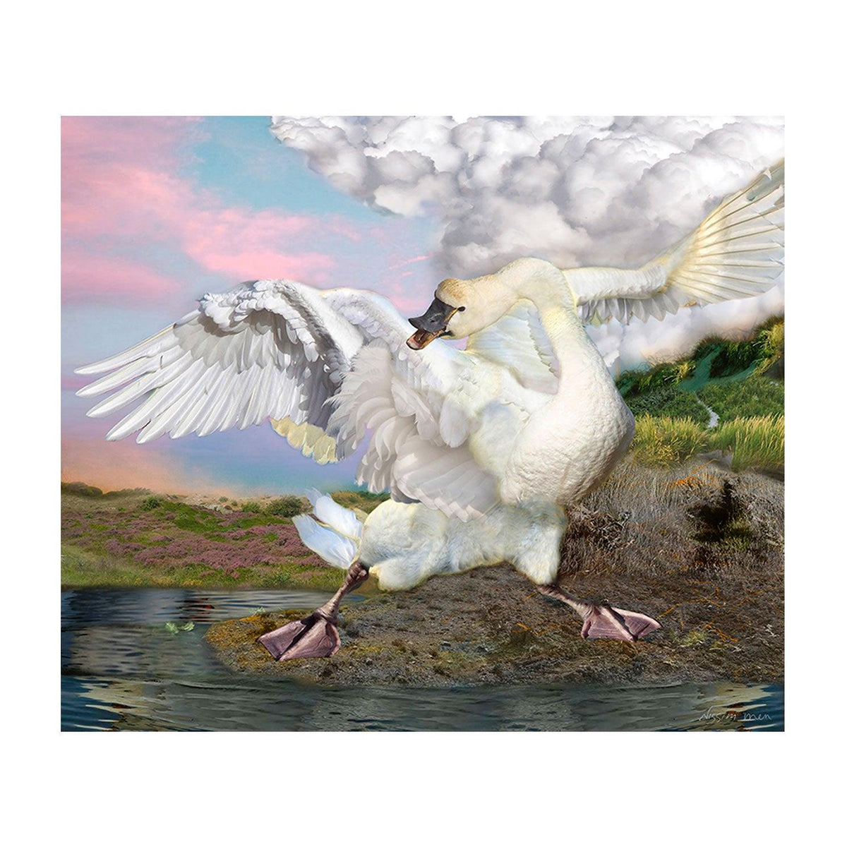 Master Sawan Master Swan