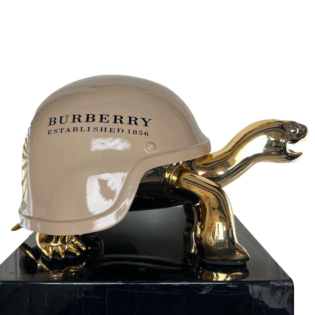 Peace Turtle - Burberry Gold