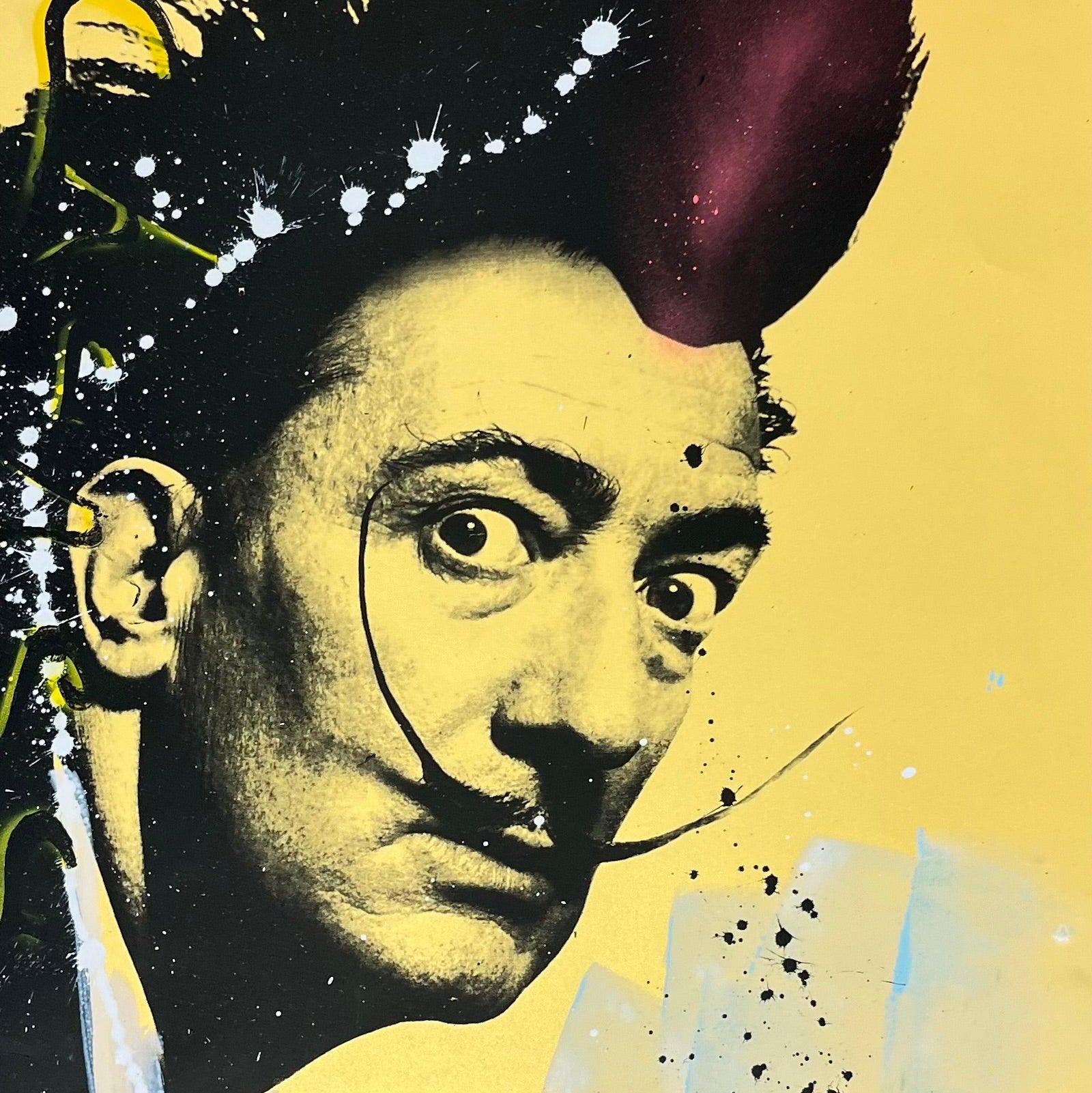 Salvador Dali in lijst