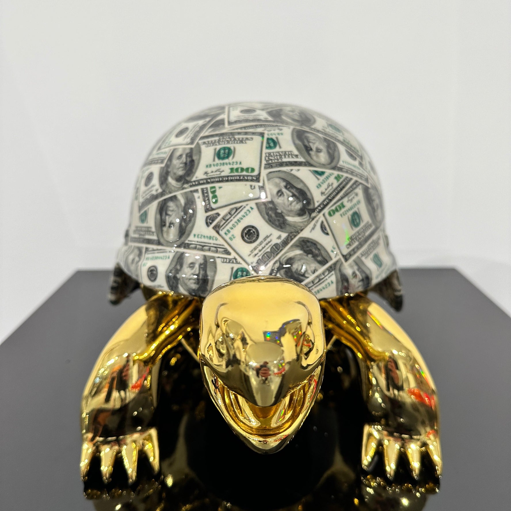 Dollar Peace Turtle Gold