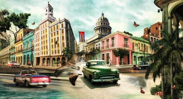 Elements Of Life Cuba - Moderne Kunst